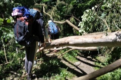 dofe_POS_23_06
