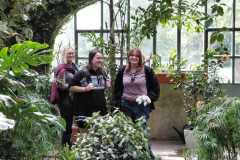 IMG-20260603-WA0004