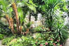 IMG_20260603_102041