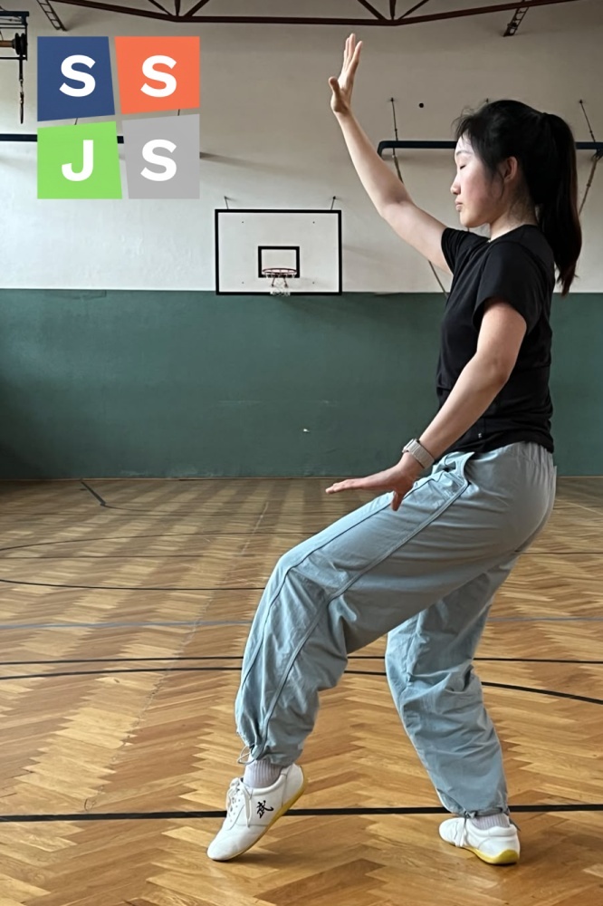 Featured image for “Lekce Tai Chi”